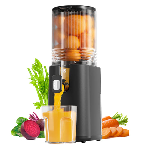 Cold Press Juicer, 5.6" Wide Feed Chute Juicer Machines for Vegetable and Fruit, Slow Masticating Juicer with DC Moter