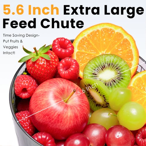 Cold Press Juicer, 5.6" Wide Feed Chute Juicer Machines for Vegetable and Fruit, Slow Masticating Juicer with DC Moter