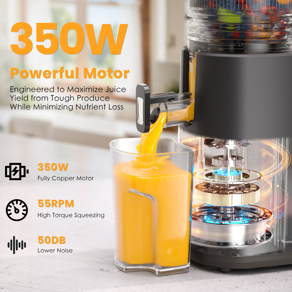 Cold Press Juicer, 5.6" Wide Feed Chute Juicer Machines for Vegetable and Fruit, Slow Masticating Juicer with DC Moter