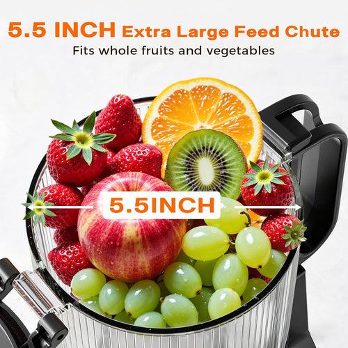 Cold Press Juicer, 5.5inch Wide Feed Chute Juicer Machine, Slow Masticating Juicer for Whole Vegetables & Fruits, Gray